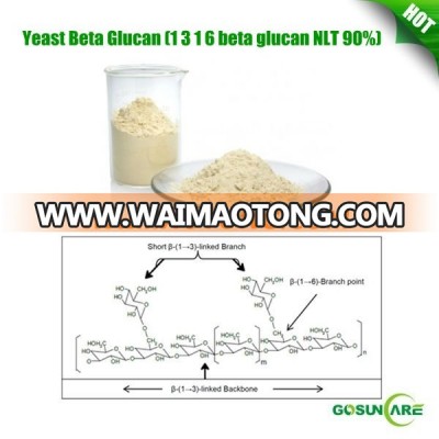 Yeast Beta Glucan (1 3 1 6 beta glucan NLT 90%)