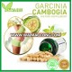 GMP certificate garcinia cambogia extract capsules Garcinia Cambogia