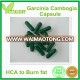 Hot sale New product Garcinia Cambogia capsule with bottle or bulk packing